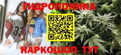 Альфа ПВП Новодвинск