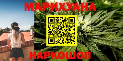 Альфа ПВП Новодвинск