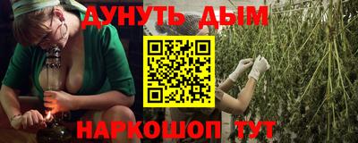 Альфа ПВП Новодвинск